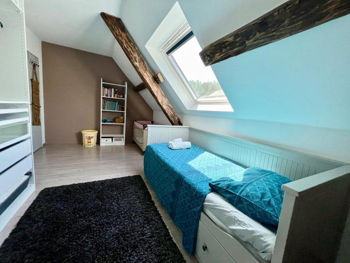 Superbe Appartement Duplex A Kaysersberg En Alsace ภายนอก รูปภาพ
