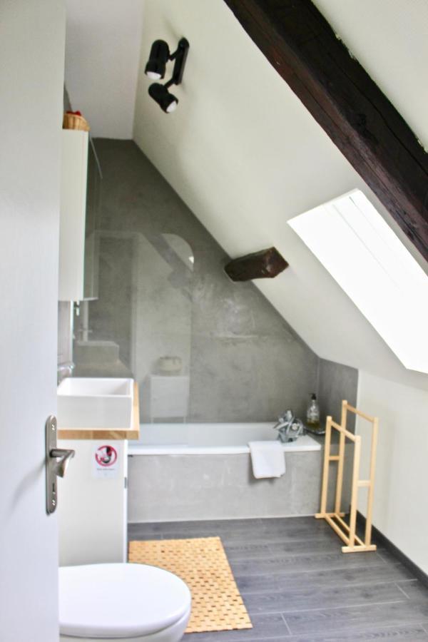 Superbe Appartement Duplex A Kaysersberg En Alsace ภายนอก รูปภาพ